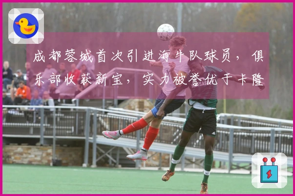 成都蓉城首次引进海牛队球员，俱乐部收获新宝，实力被誉优于卡隆