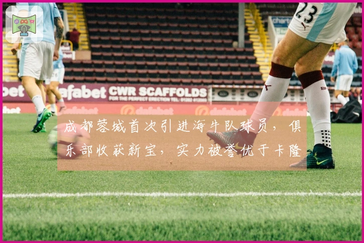 成都蓉城首次引进海牛队球员，俱乐部收获新宝，实力被誉优于卡隆